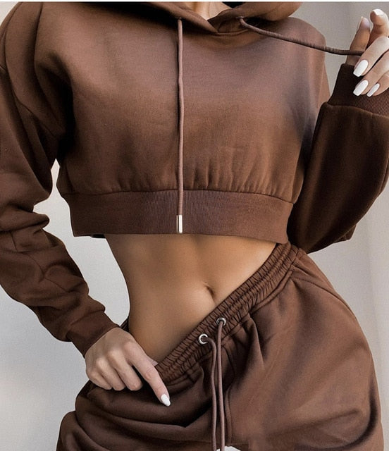 Women's Tracksuit - Hoodies Sweatshirt and Sweatpants Casual Sports 2 Piece Set