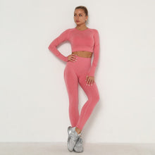 Load image into Gallery viewer, Seamless Women Sport Set For Gym Long Sleeve Top High Waist Belly Control Leggings Clothes Seamless Sport Suit Sexy Booty Girls
